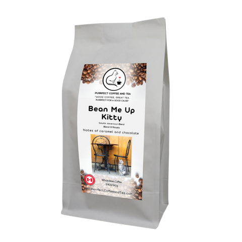 Bean-Me-Up-Kitty